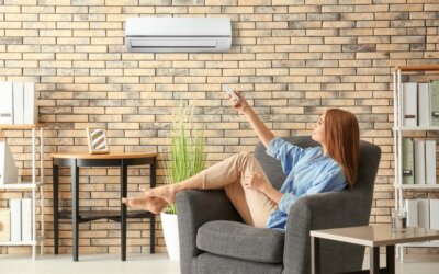L’importance de bien maintenir la température de votre habitat